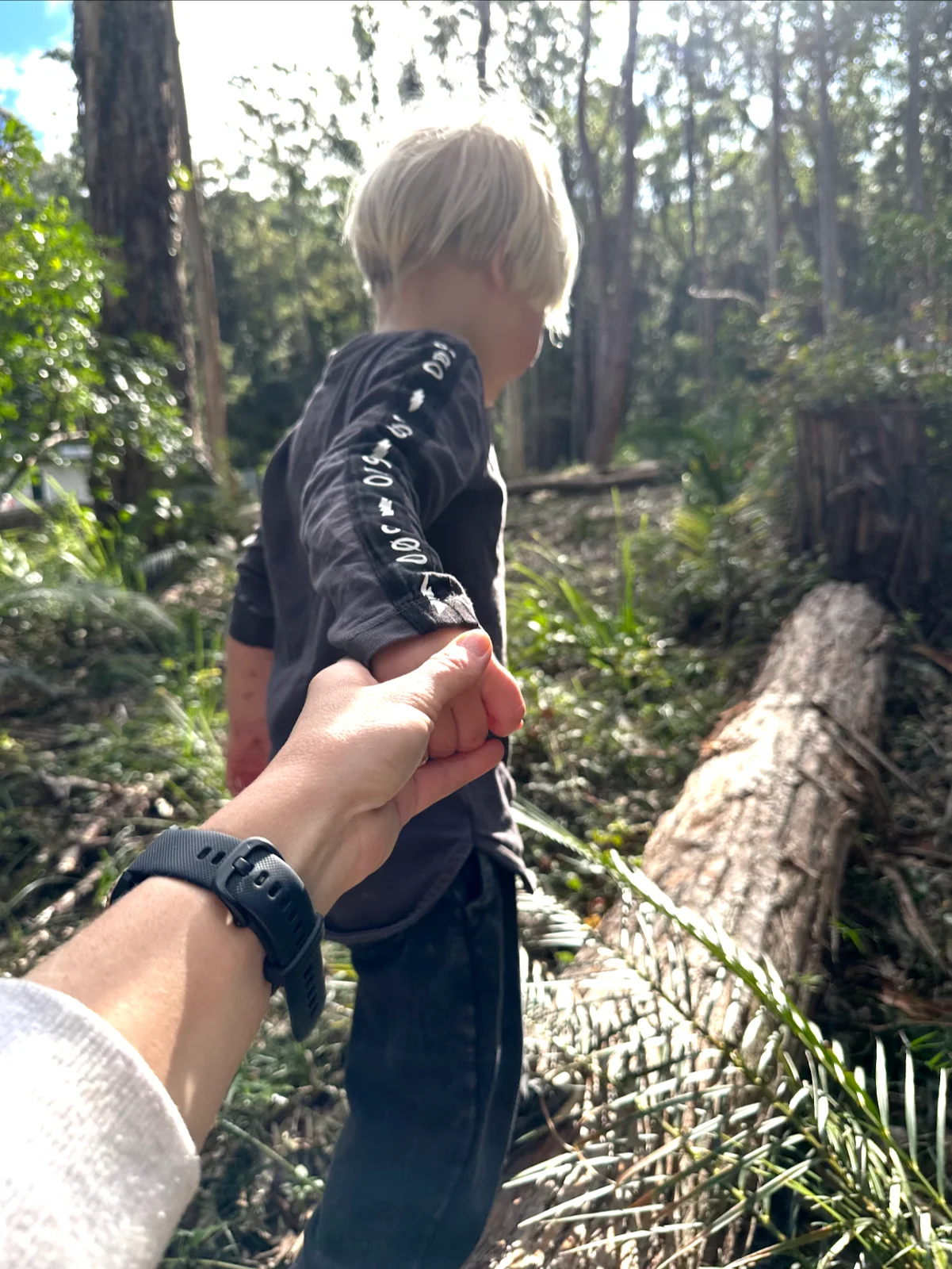 Nature’s balance beam This simple tree log becomes a powerful tool in outdoor therapy, helping build strength, focus, and confidence one step at a time