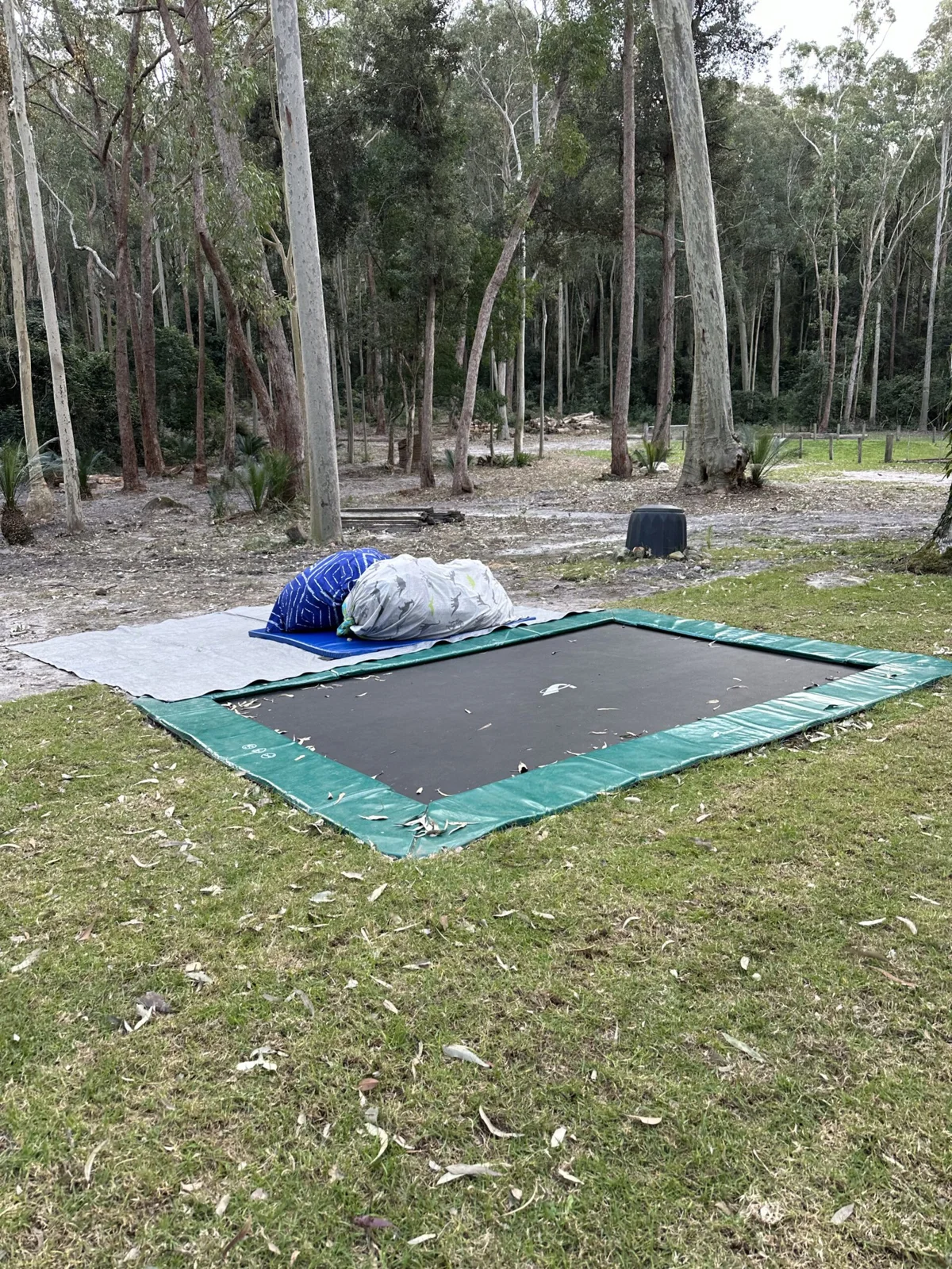 Jumping into therapy Our in-ground trampoline and crash mats are nestled amongst nature, offering a safe and exciting space for building strength, coordination, and confidence