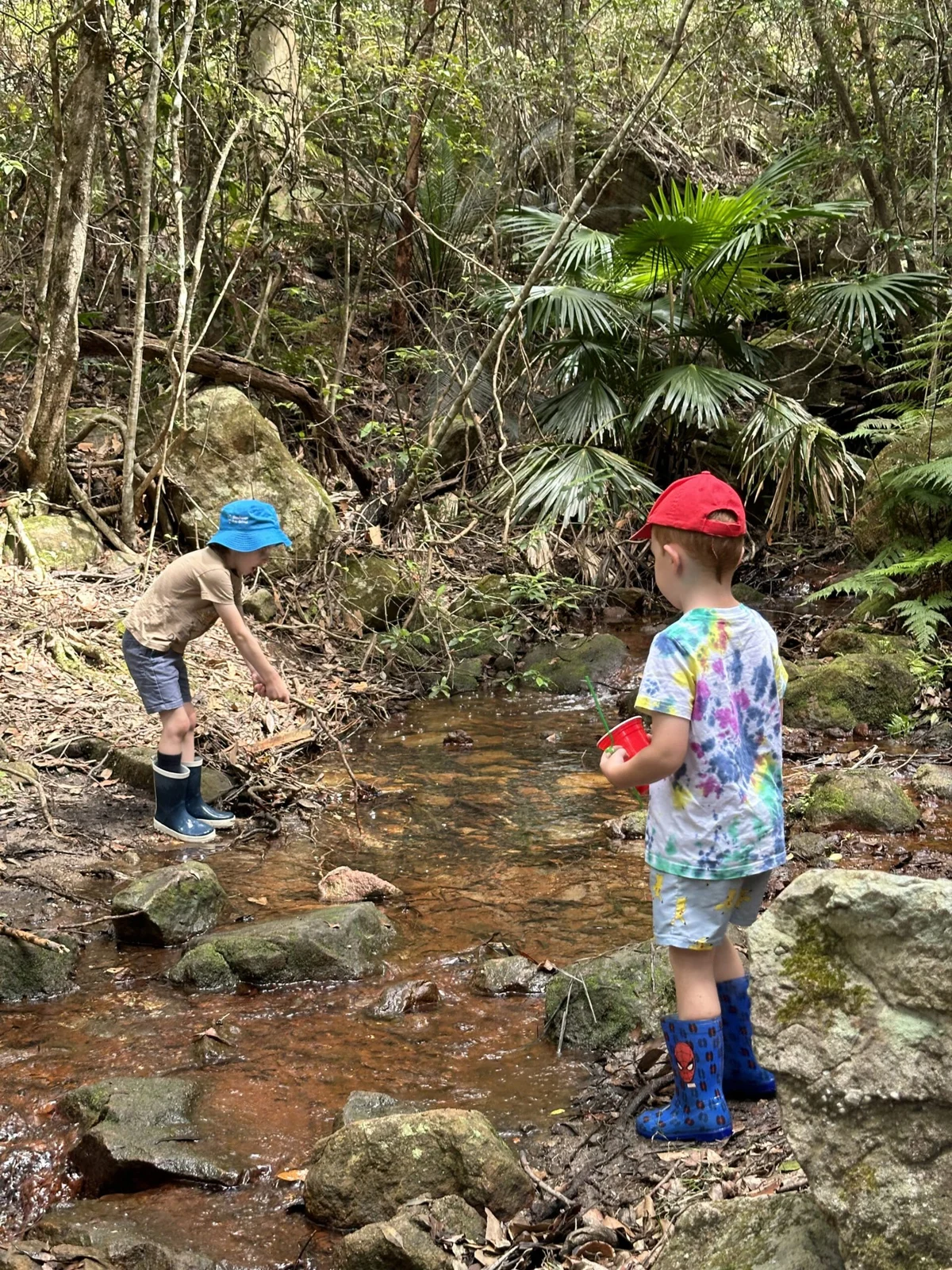Two children exploring a shallow bushland creek.