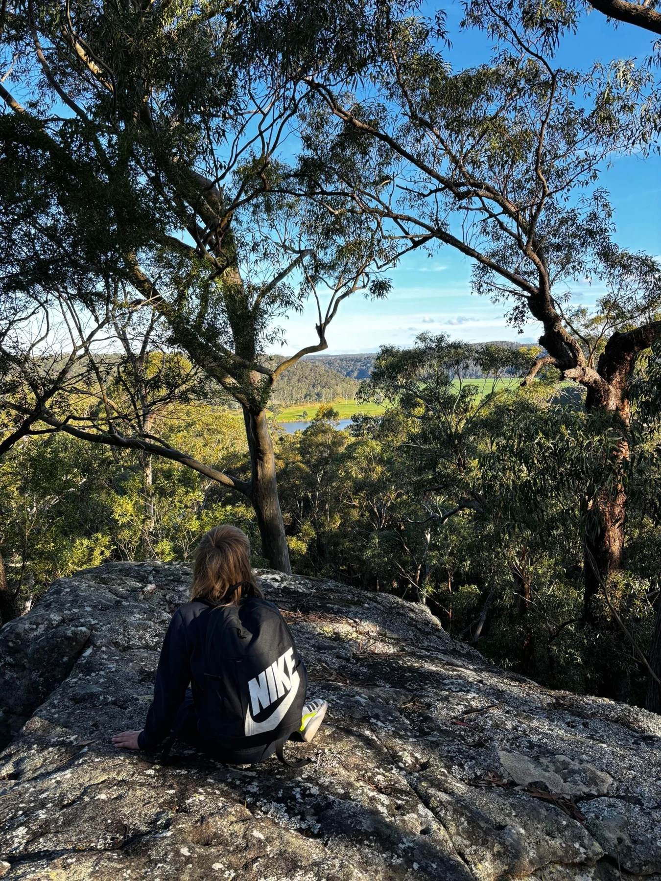 A child resting beside a tree overlooking the surrounding landscape.