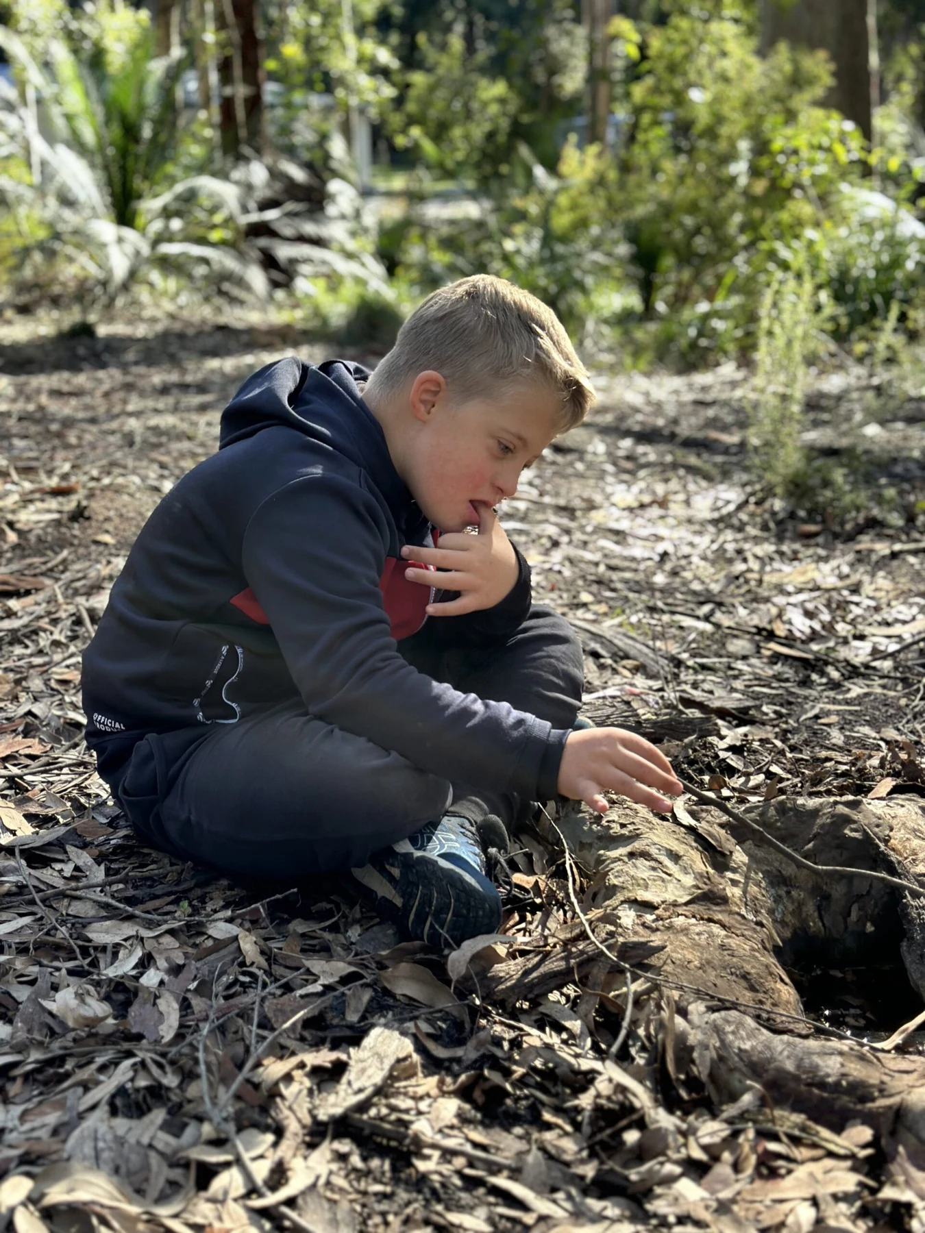 A child exploring the bushland floor.